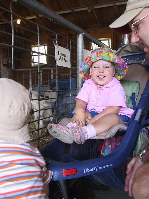 0822m.jpg - Leah got a kick out of the goats.  "Pet pet pet!!" she kept saying.