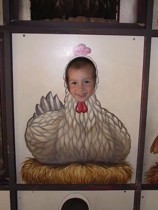 0822r.jpg - Owen the chicken.