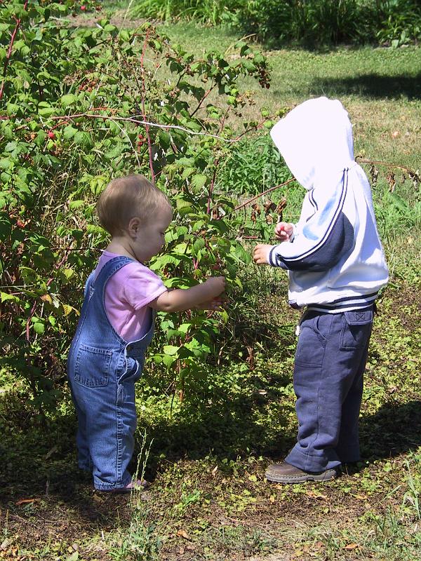 IMG_0007.JPG - Both kids like to eat raspberries