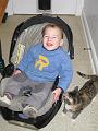 0131carseat
