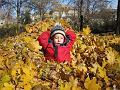 1111leaves7