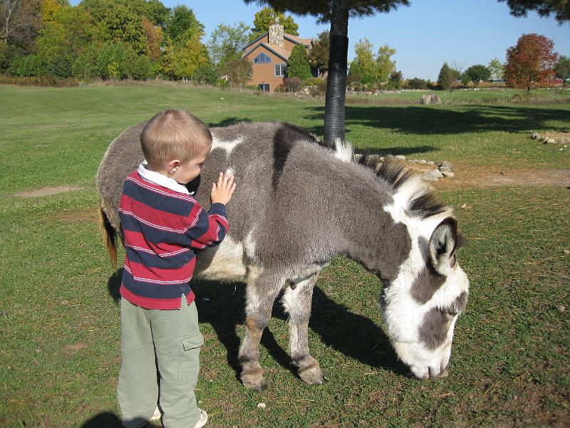 1011farm03.jpg - A petting zoo at a local farm