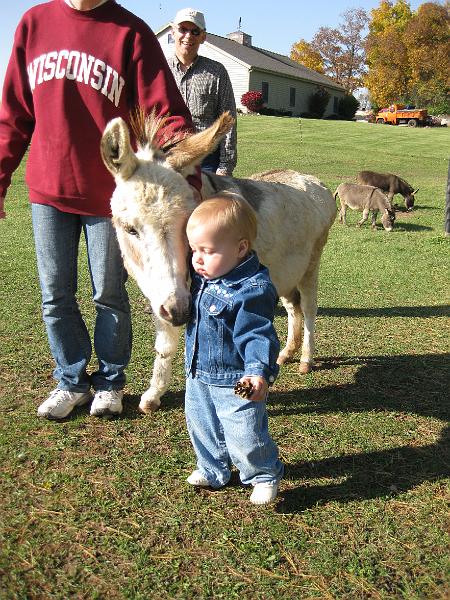1011farm06.jpg - Leah's close encounter with a burro