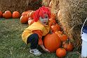 1025pumpkinfest1