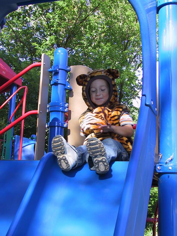 0903park9.jpg - More tiger fun