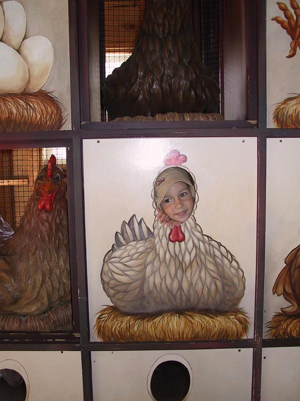 0918zoo02.jpg - At the chicken barn at the MN zoo