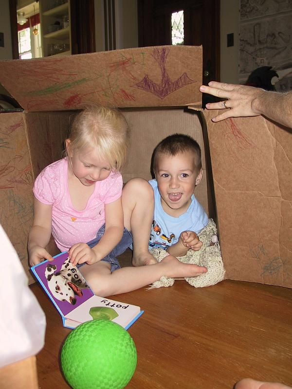 0919owen-brooklyn.jpg - Owen and a friend in a box